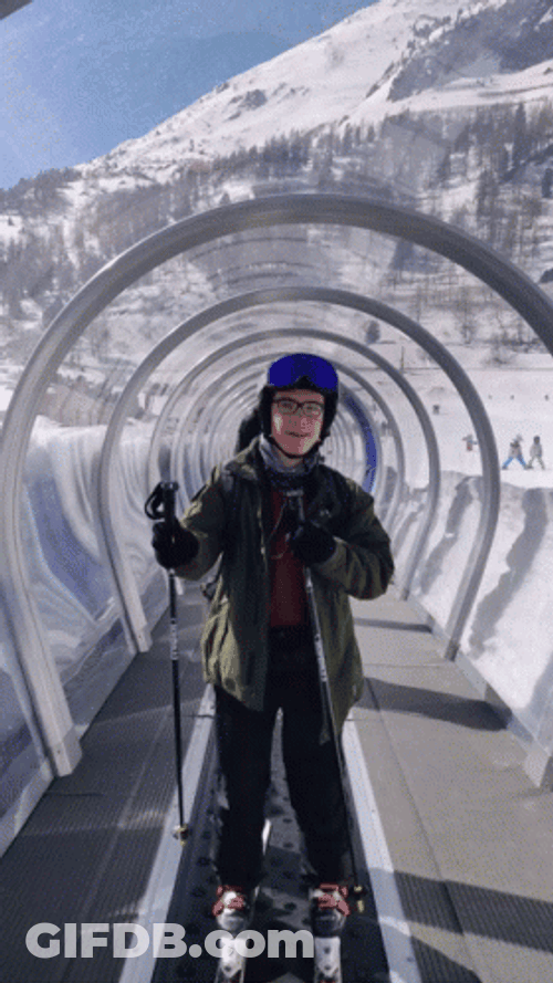 Cool Dab Skiing Winter GIF