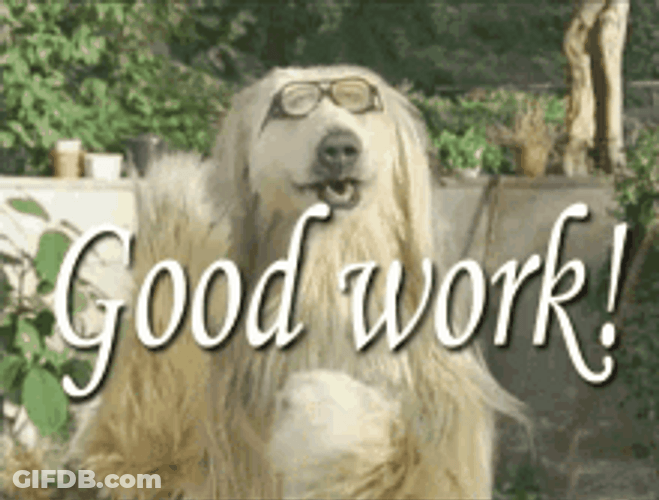 Cool Dog Glasses Clapping Great Work GIF