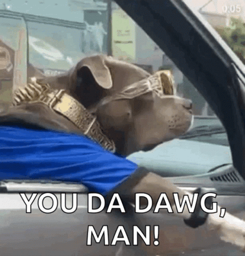 Cool Dog In Car You Da Man GIF