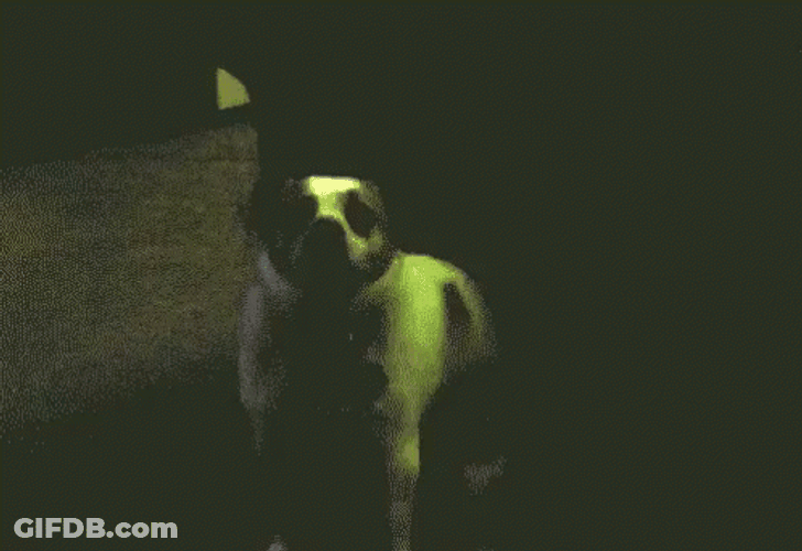 Cool Dog Rave Dance Moves GIF
