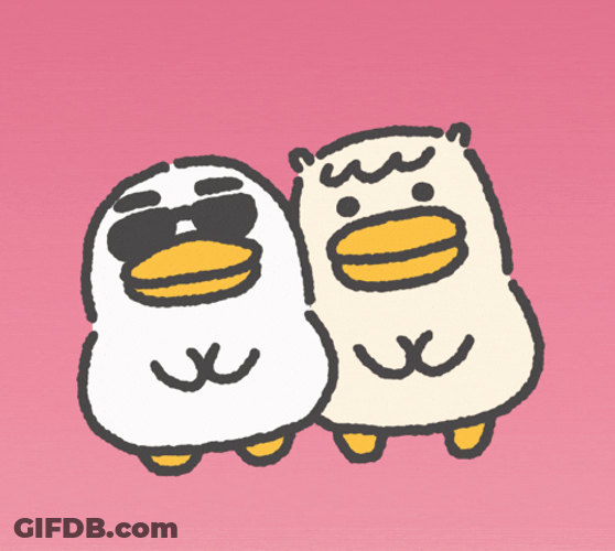 Cool Ducks Dancing Apt GIF