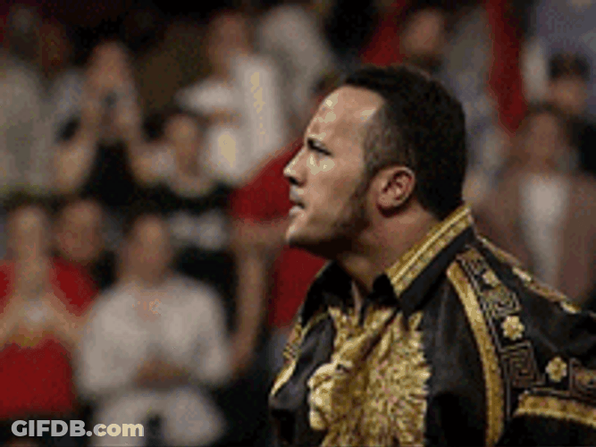 Cool Dwayne Johnson Rock Eyebrow GIF