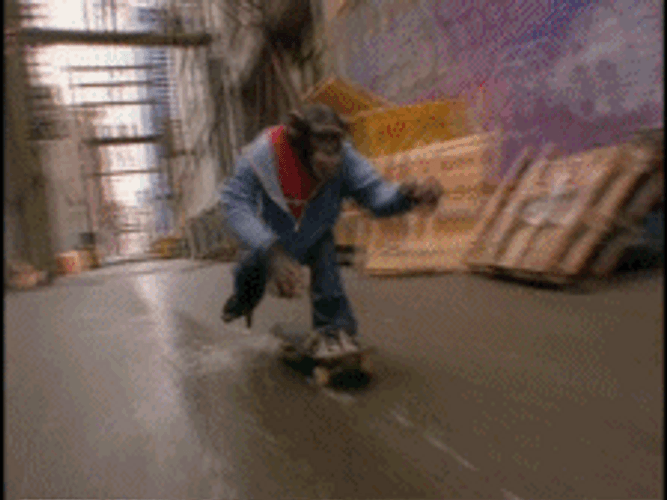 Cool Funny Monkey Riding Skateboard GIF