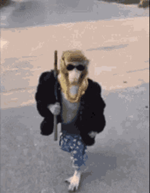 Cool Gangster Monkey GIF