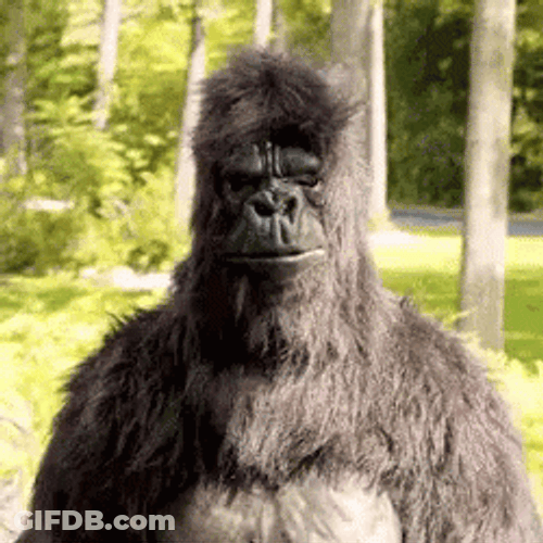 Cool Gorilla Thumbs Up GIF