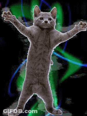 Cool Green Beans Wearing Sunglasses GIF
