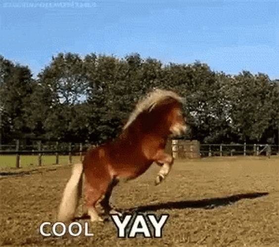 Cool Horse Yay Meme Jump GIF