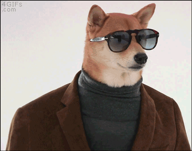Cool Looking Doge GIF