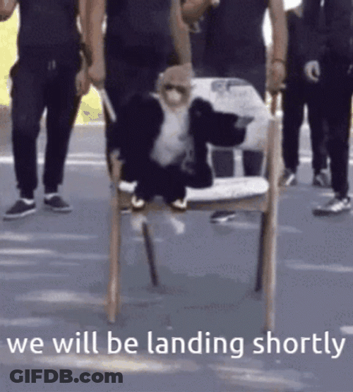Cool Monkey Glasses Landed GIF