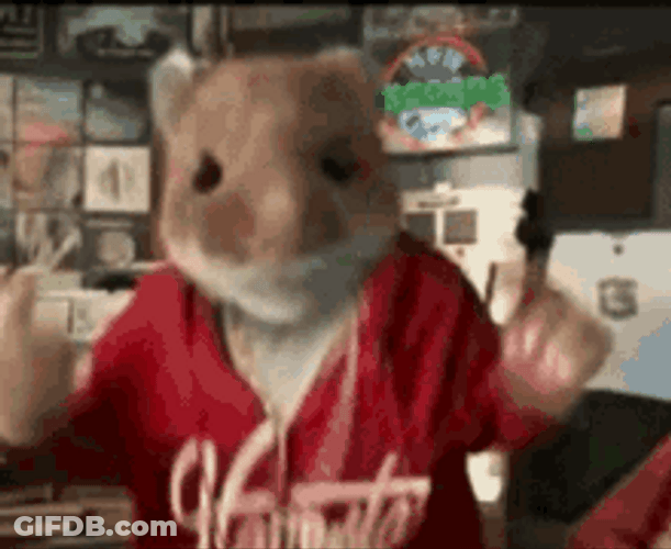 Cool Mouse Gang Rap GIF