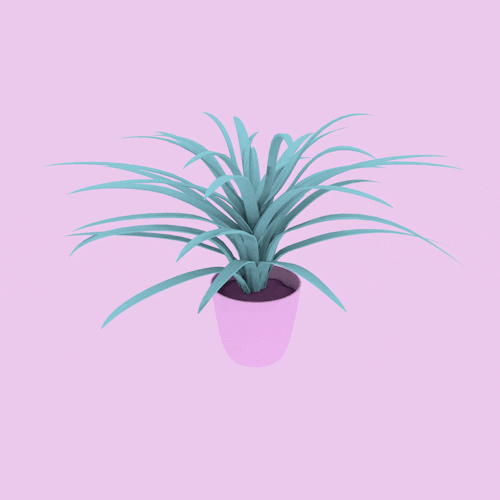 Cool Pink Pineapple Plant GIF