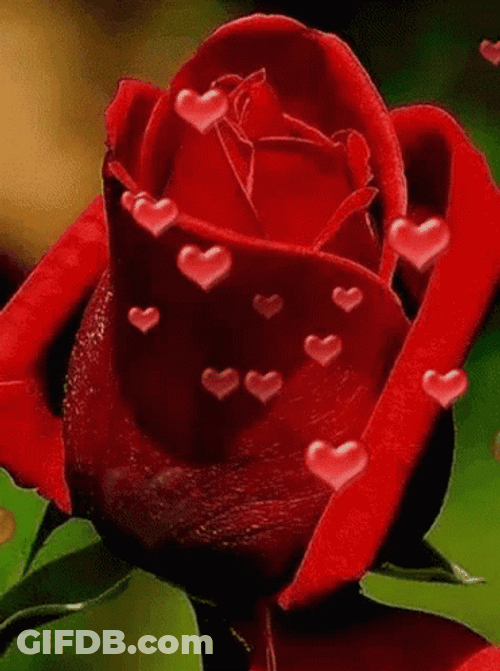 Cool Red Roses Heart Emoji GIF