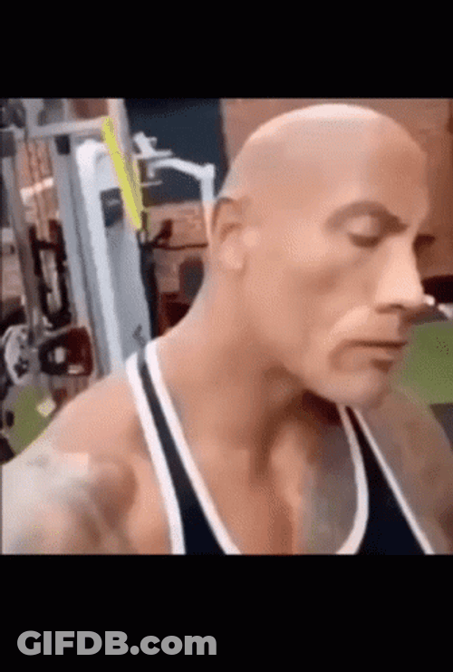 Cool Rock Raised Eyebrow GIF