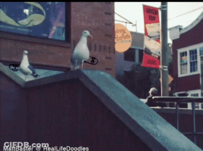 Cool Seagull Slide Skate Boarding Animation GIF