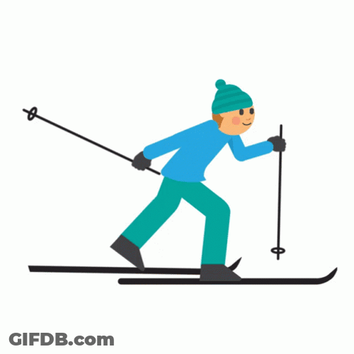 Cool Skier Finland GIF