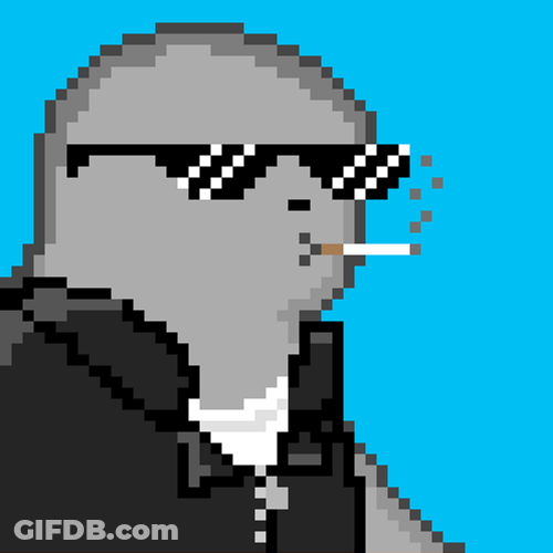 Cool Spinning Seal GIF