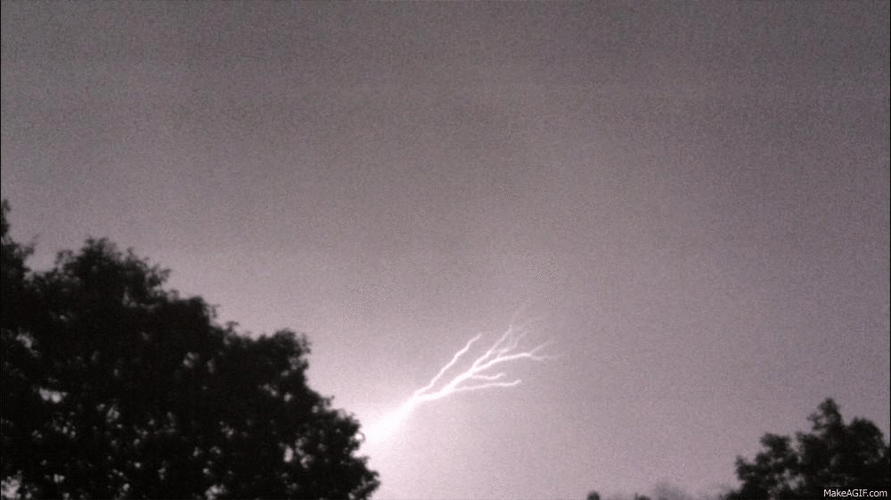 Cool Storm Tree Lightning GIF
