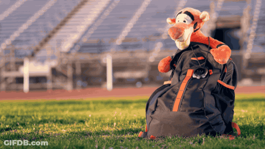 Cool Stuffed Toy Disney Tigger GIF