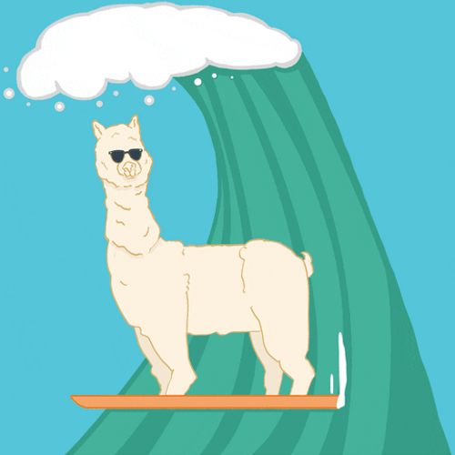 Cool Surfing Alpaca GIF
