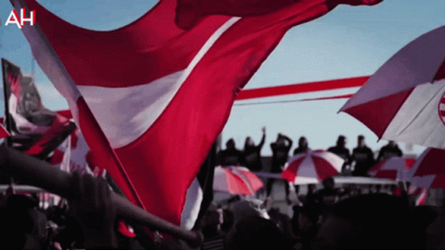 Cool Tunisia Flag Souvenirs GIF