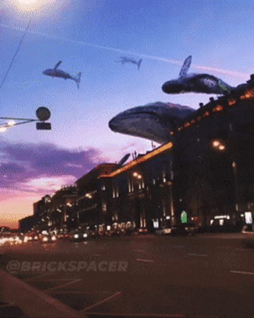 Cool Whale Sky Street GIF
