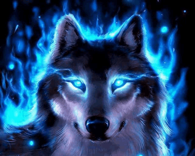 Cool Wolf Meme GIF