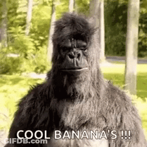 Coolio Banana's Cool GIF