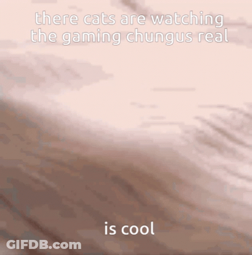 Coolio Cat Sleeping Cute GIF