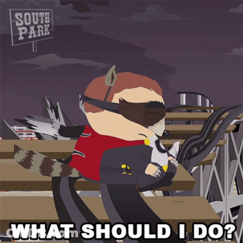 Coon Being Mysterion What Should I Do GIF