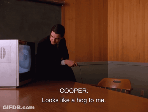 Cooper Looks Like Hog In Front Of TV GIF