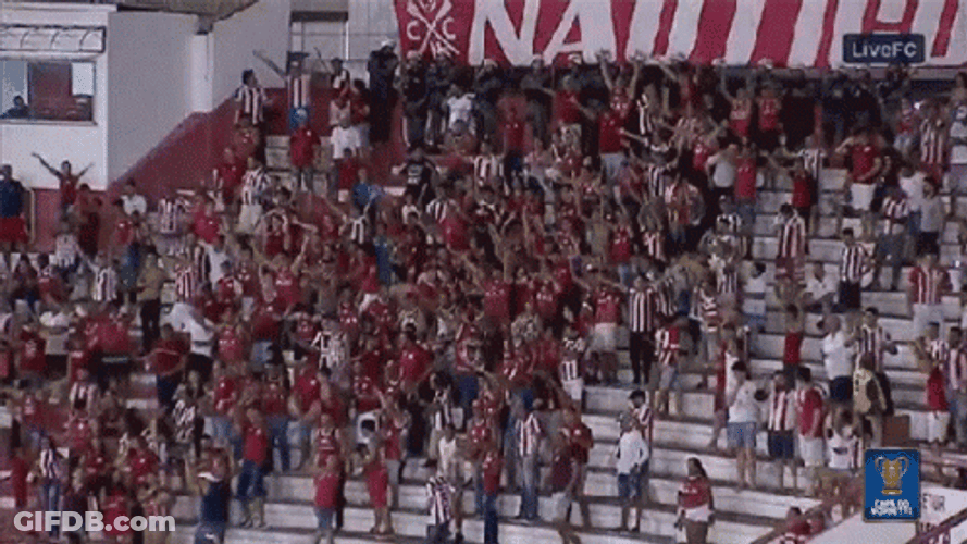 Copa Do Nordeste Crowd Cheering GIF