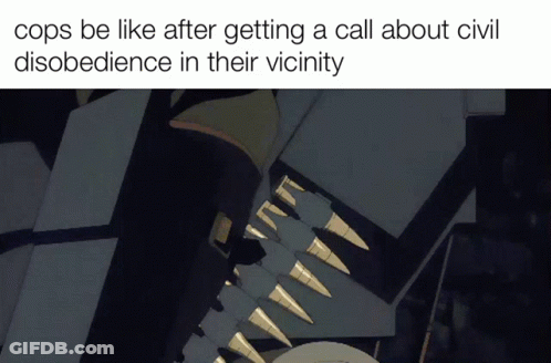Cops After Getting Call About Civil Disobedience GIF