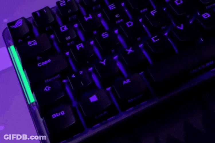 Copy And Paste Computer Command GIF