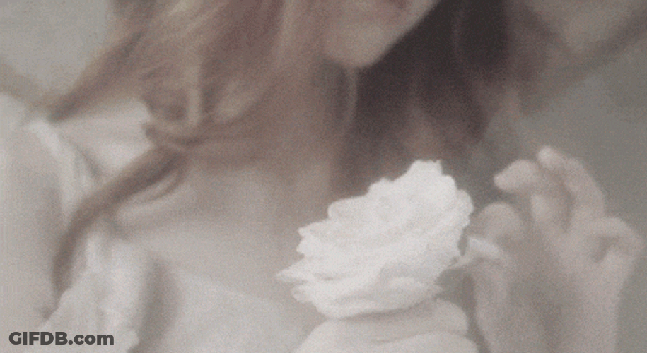 Coquette Murote GIF