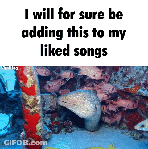 Coral Reef Saying I Will For Sure Be Adding This To My Liked Songs GIF