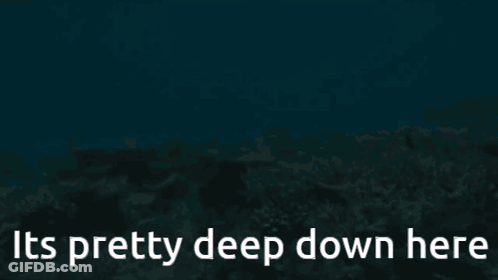 Coral Reef Saying It's Pretty Deep Down Here GIF