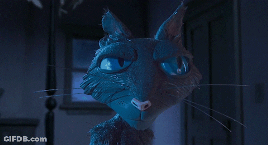 Coraline Cat Side-Eye GIF