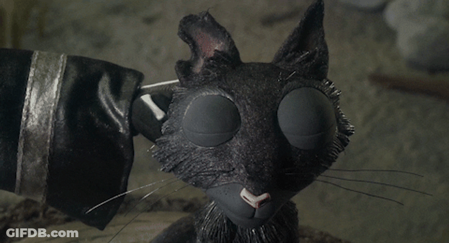Coraline Petting Cat GIF