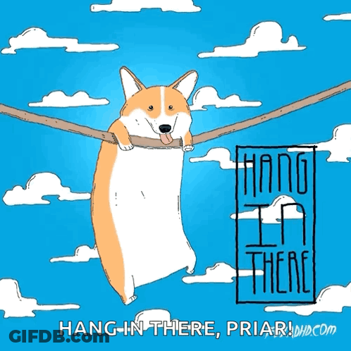 Corgi Hanging From Rope GIF