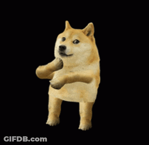Corgie Dancing Dog GIF