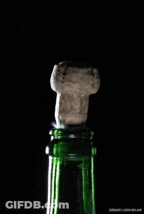 Cork Flying Champagne Popping GIF