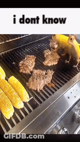 Corn And Meat On Grill I Dont Know GIF