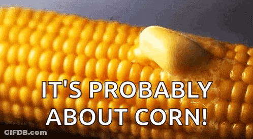 Corn On The Cob With Saying It's Probably About Corn GIF