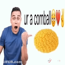 Cornball Cornball Cornball Cornball GIF