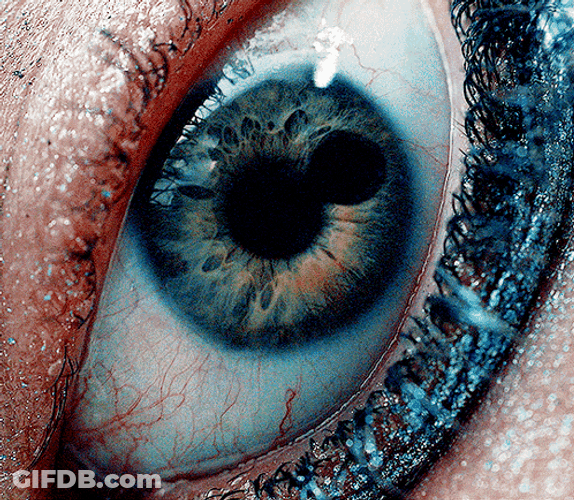 Corneas Pupilas GIF