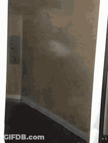 Corner Of Room With White Wall And Black Floor GIF