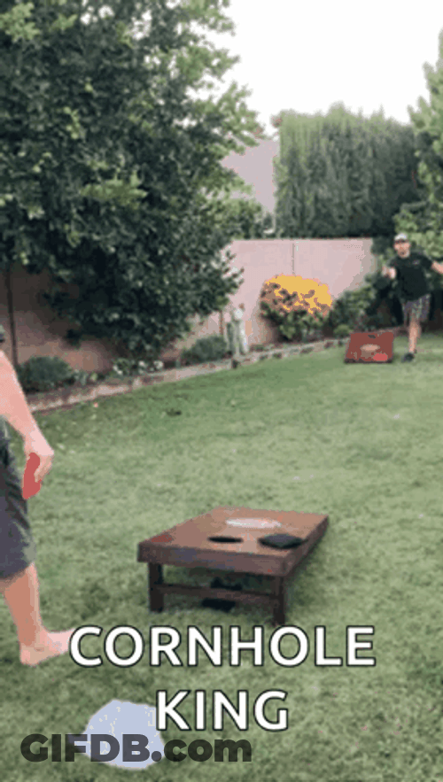 Cornhole Swish King GIF