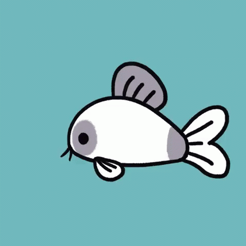 Cory Catfish Shy Shrimp GIF