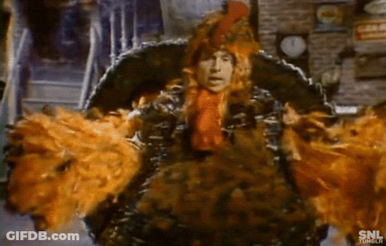 Cosmo Kramer Thanksgiving Turkey SNL GIF