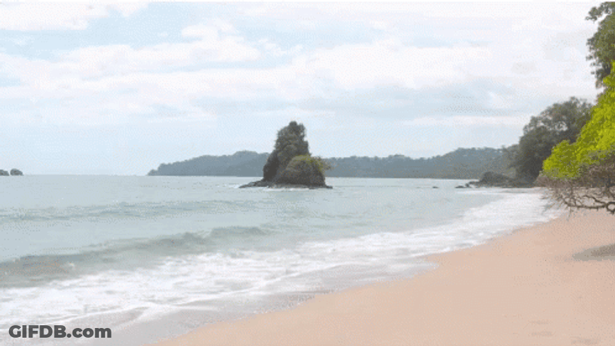 Costa Rica Beach Surfing GIF